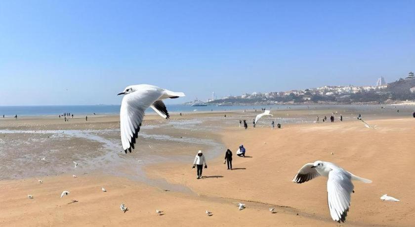 Grand Madison Qingdao Harbour-View Central（Former Qingdao Farglory Hotel） Exterior foto